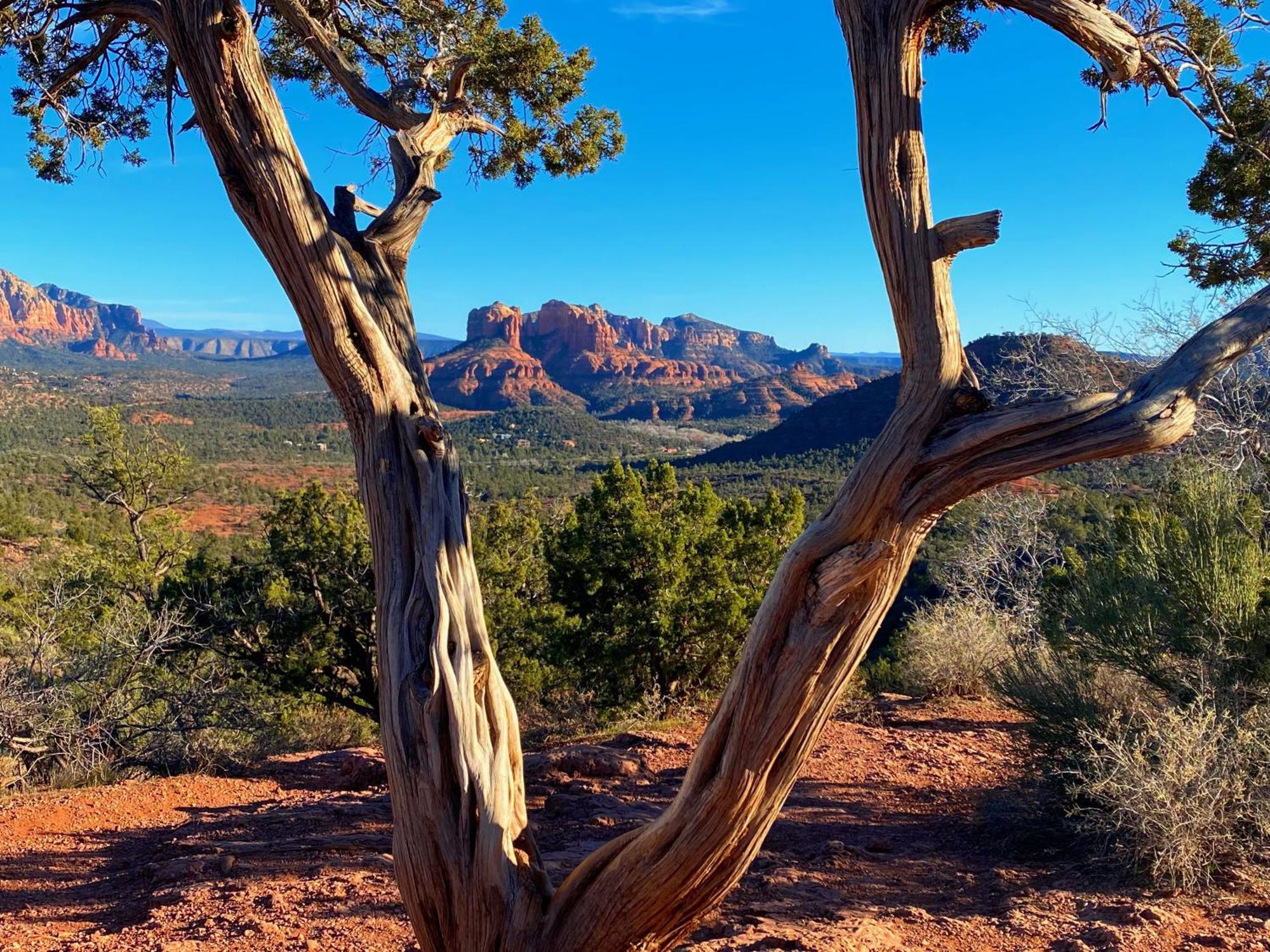 Sedona'S Paradise Found, Saltwater Pool And Hot Tub, Private Oasis! Exterior foto